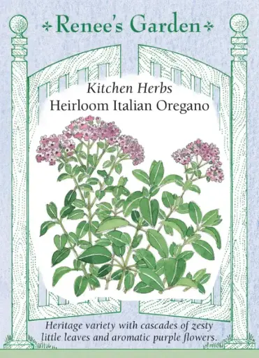 [5945] Oregano Italian