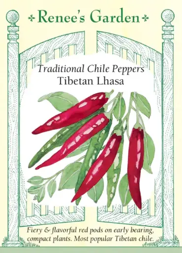 [5992] Pepper Chile Tibetan Lhasa
