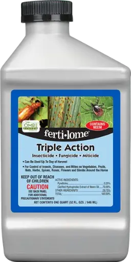 [6354032] Triple Action
