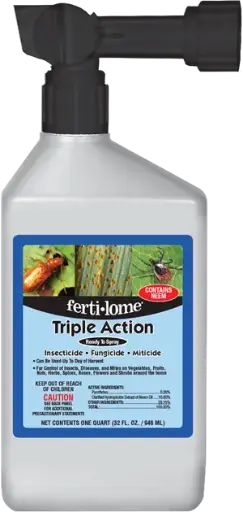 [6354232] Triple Action RTS