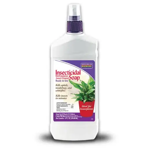 [6381034] Bonide Houseplant Insect Spray