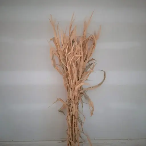 [6404001] Corn Stalks Bundle 72"