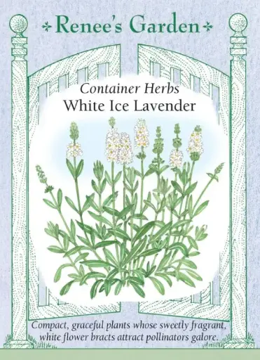[5844] Lavender White Ice Container
