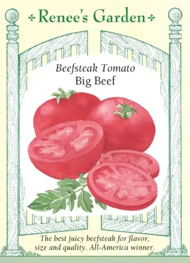 [5291] Tomato Big Beef Beefsteak