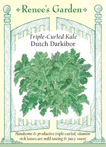 [5883] Kale Darkibor