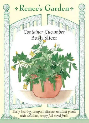 [5419] Cucumber Bush Slicer