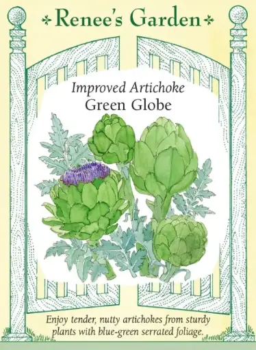 [5714] Artichoke Green Globe Improved