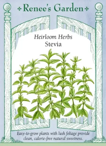 [5729] Stevia