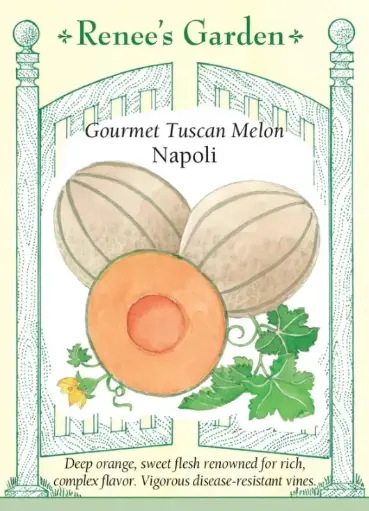 [5877] Melon Tuscan Napoli