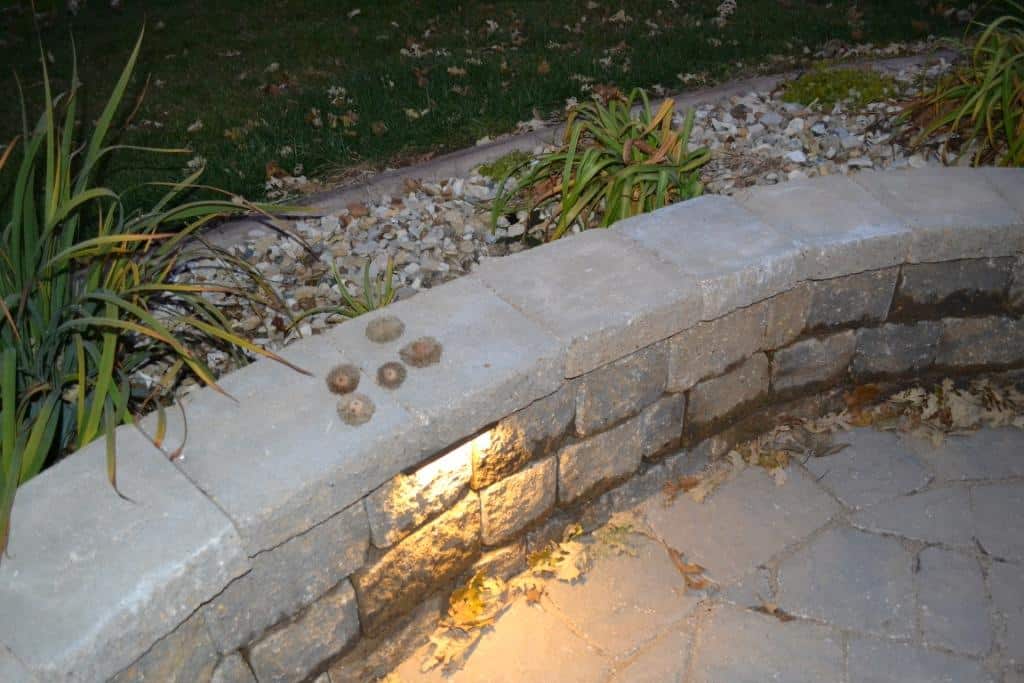 Collection of acorns on Landscape wall.