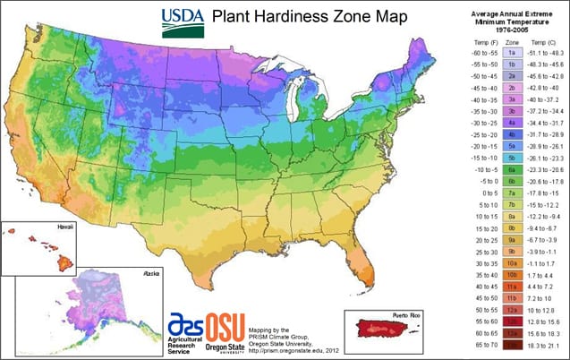 USDA Plant Hardiness Map