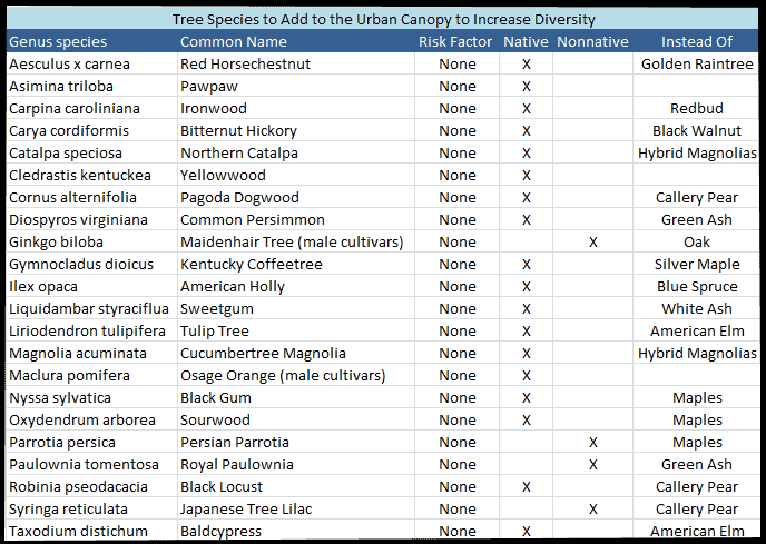tree species for canopy replacement