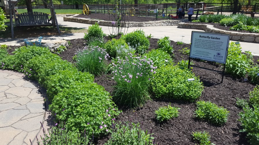 Butterfly garden at the Deanna Rose Farm