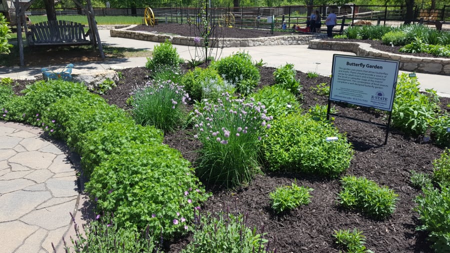 Butterfly garden at the Deanna Rose Farm 