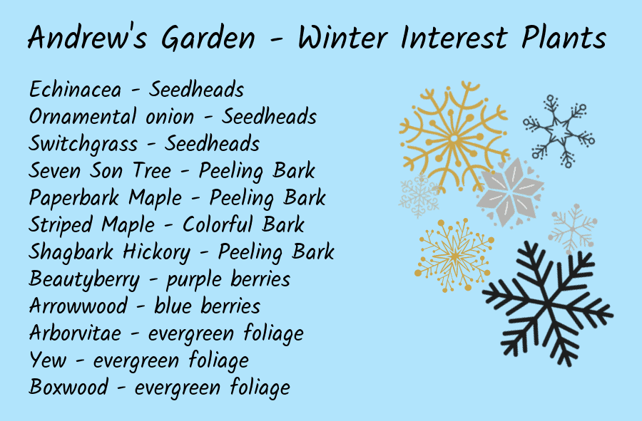 author's garden inventory for winter interest