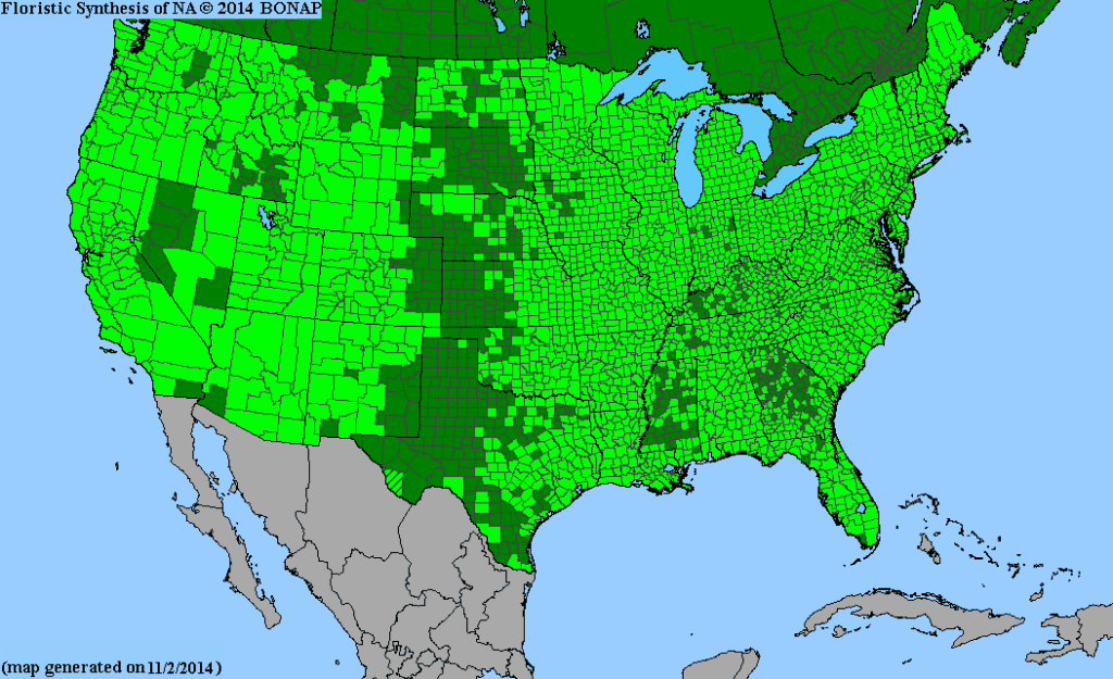 Rubus genus distribution map