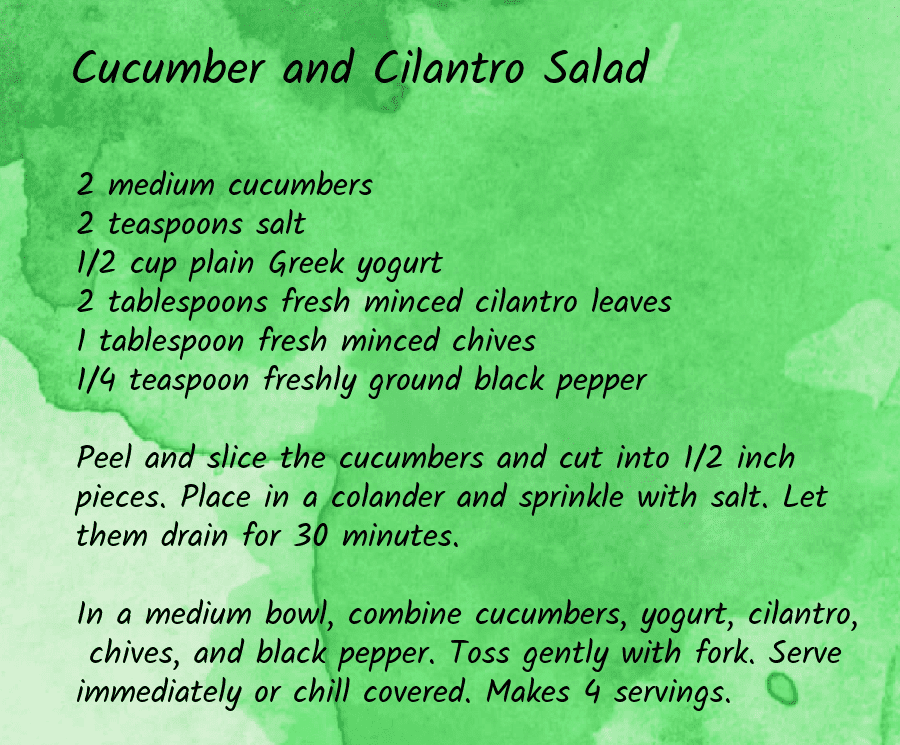 cilantro herb salad recipe
