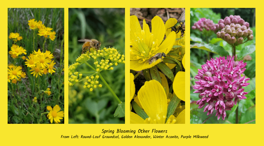 other flowers for honeybees