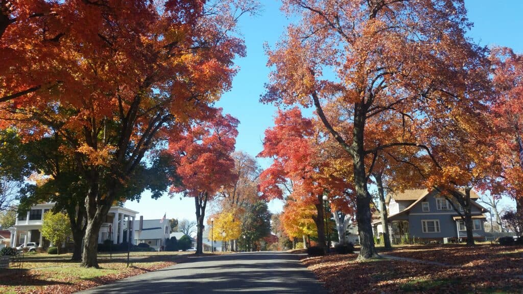 Hiawatha Kansas is the City of Beautiful Maples