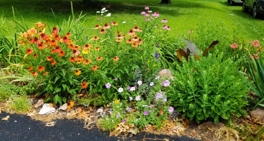 driveway pollinator pocket