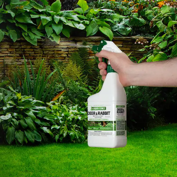 using a rabbit repellent