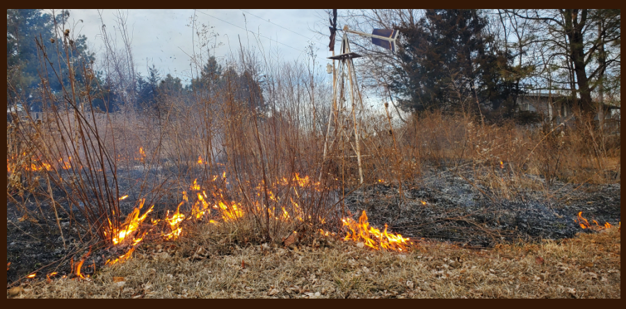 burning off the Meadow Garden