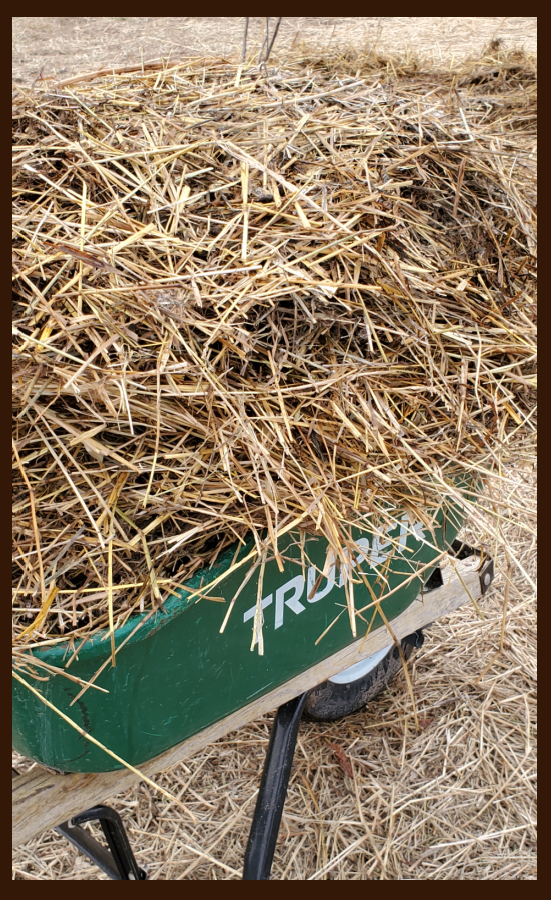 spoiled hay can help build soil