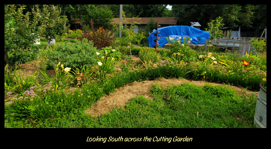 Cutting Garden