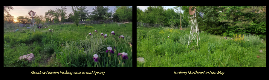 Meadow Garden